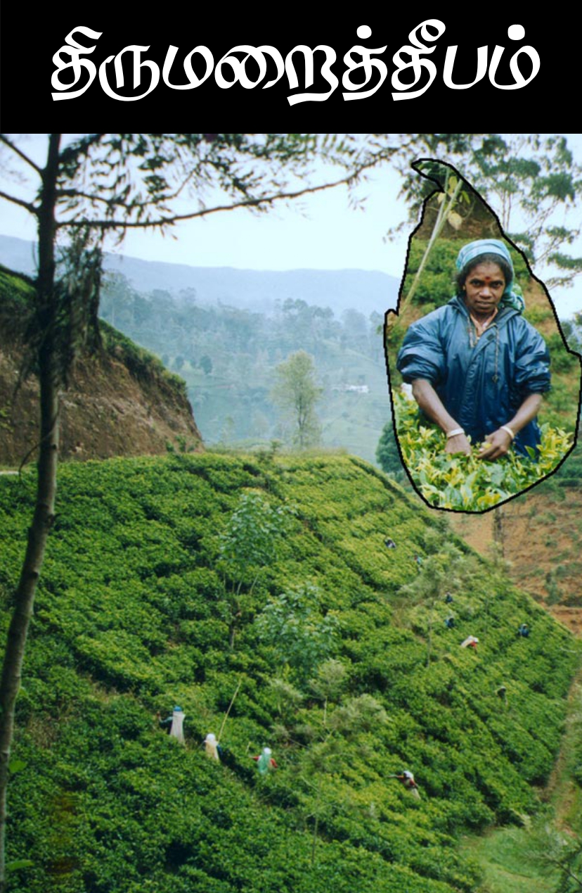 2003 இதழ் 2